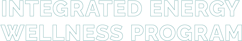 INTEGRATED ENERGY WELLNESS PROGRAM